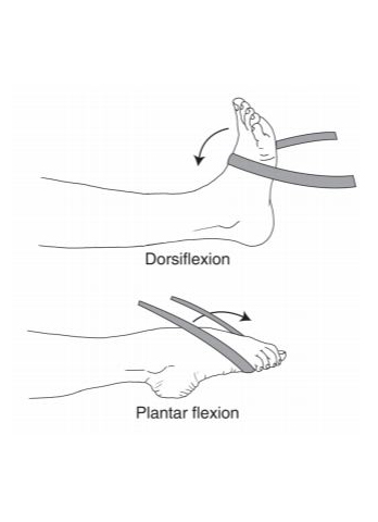 ankle dorsiflexion plantar flexion - foot & ankle recovery exercise exercise