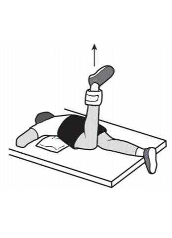 hip extension (prone) - hip recovery exercise