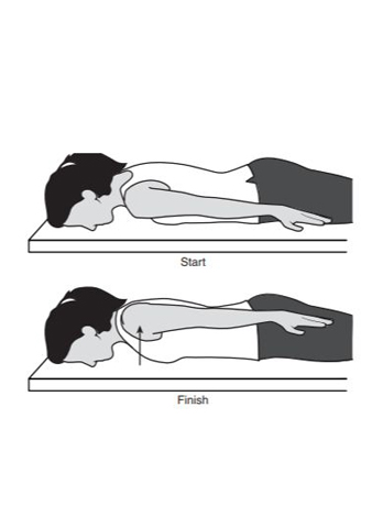 scapula setting - shoulder recovery exercise