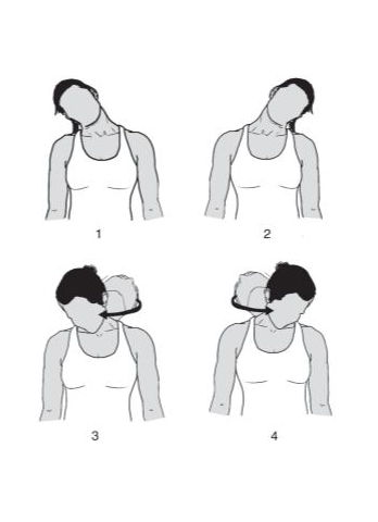 head rolls - spine recovery exercise
